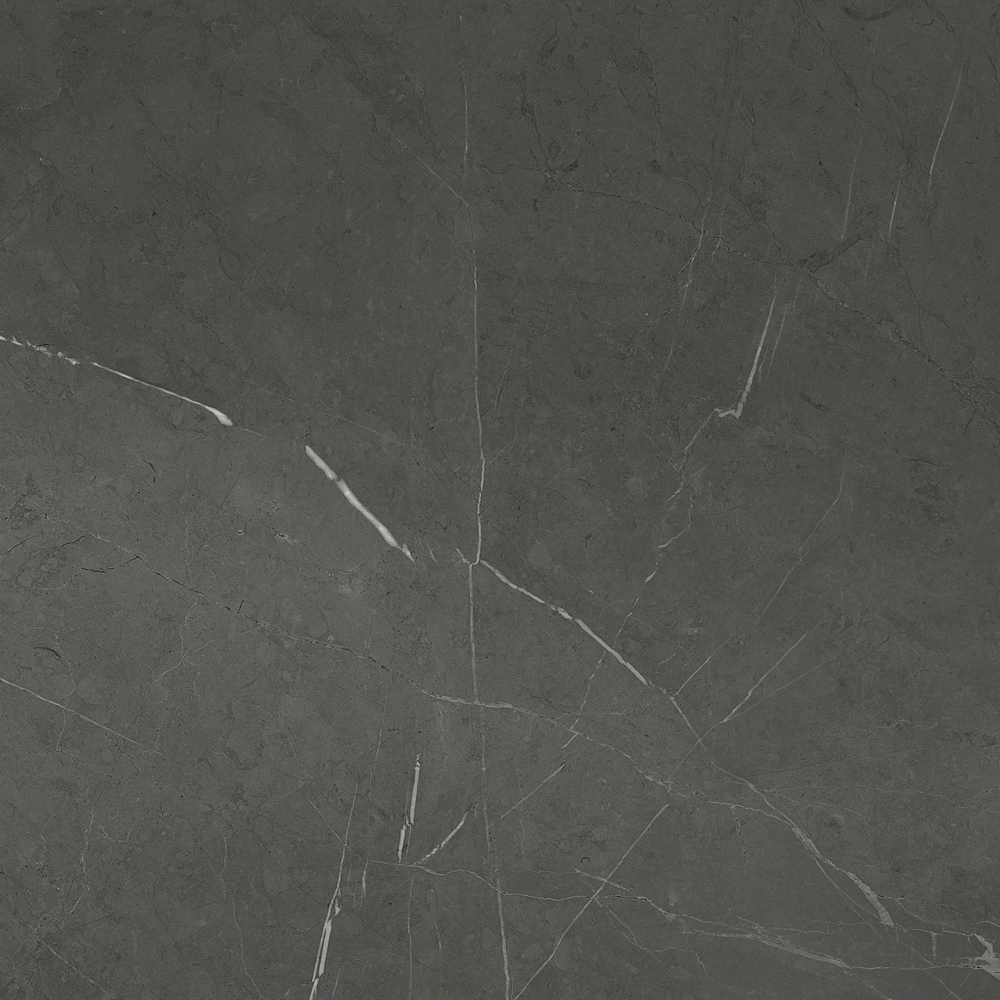 Bracca Porcelain Tile in Dark Grey 600x600