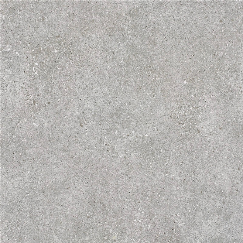 Anthracite Natural Matt 600x600 Porcelain Tile