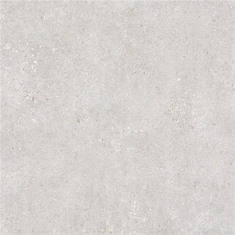 Silver Natural Matt 600x600 Porcelain Tile